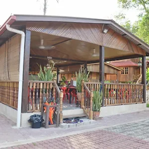 Hotel Borneo Tree House